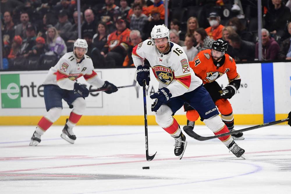 Anaheim Ducks vs Florida Panthers Prediction, Pick and Preview, April 12 (4/12): NHL