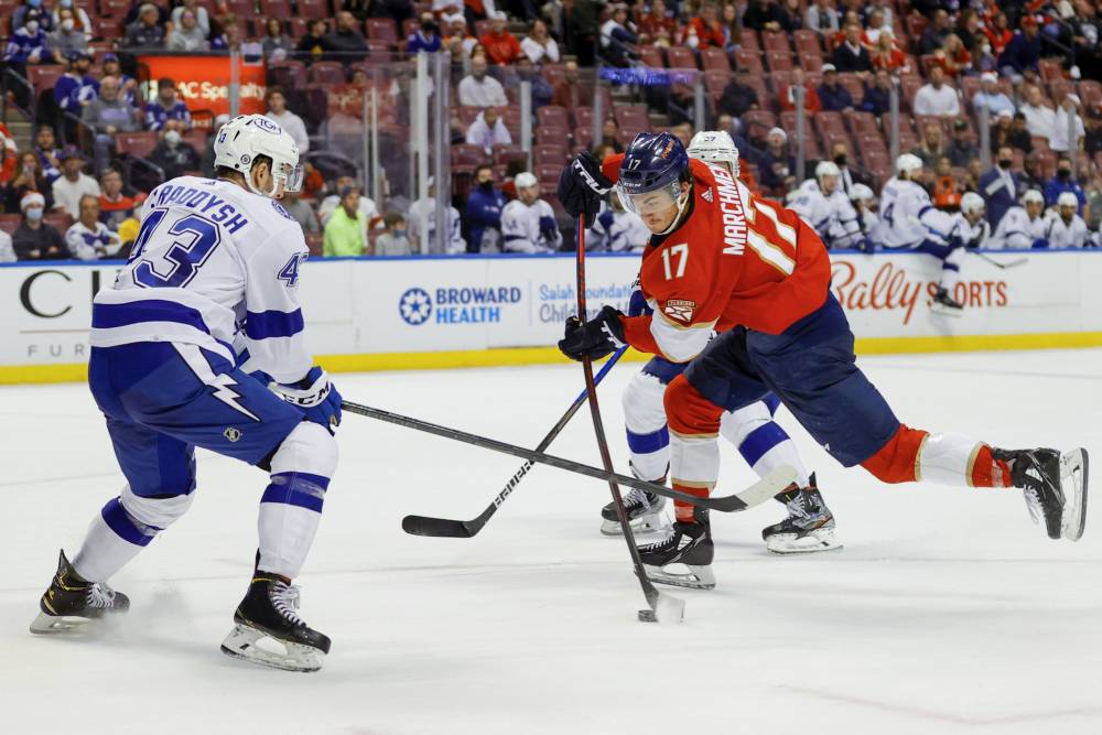 Tampa Bay Lightning vs Florida Panthers Prediction, Pick and Preview, April 24 (4/24): NHL