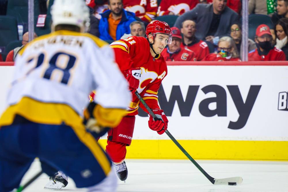 Calgary Flames vs Nashville Predators Prediction, Pick and Preview, April 19 (4/19): NHL