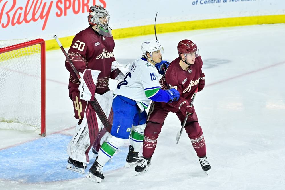 Coyotes vs Canucks Prediction NHL Picks Experts 4/13