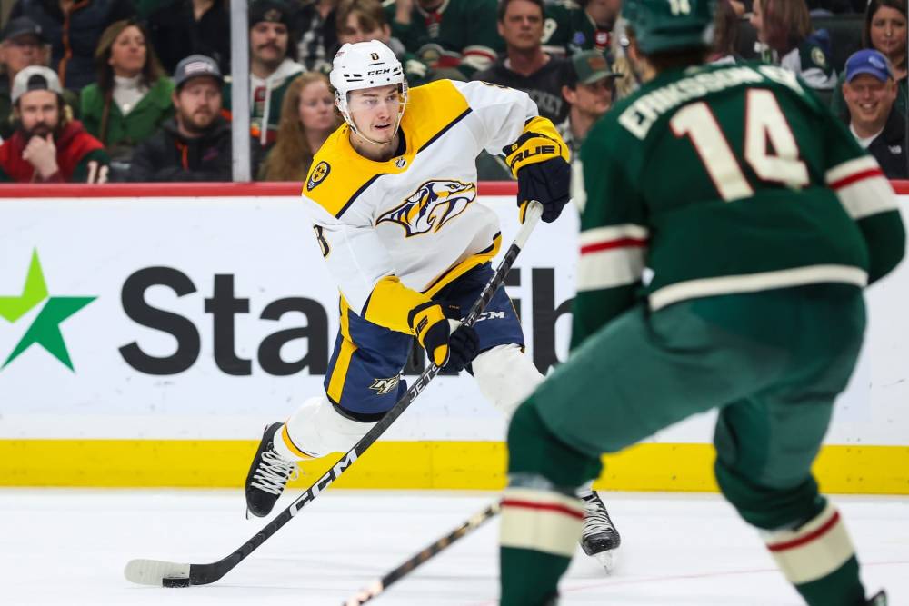 Predators vs Wild Prediction NHL Picks Today 4/13
