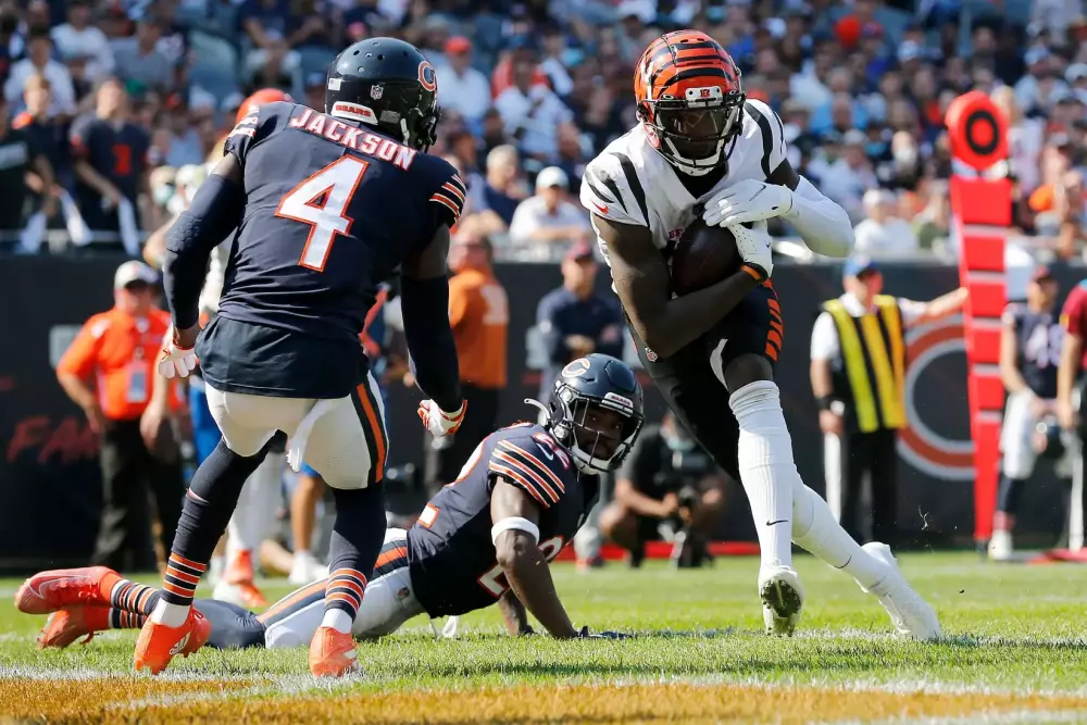 Bears vs Bengals Prediction NFL Preseason Week 2 Picks 8/17