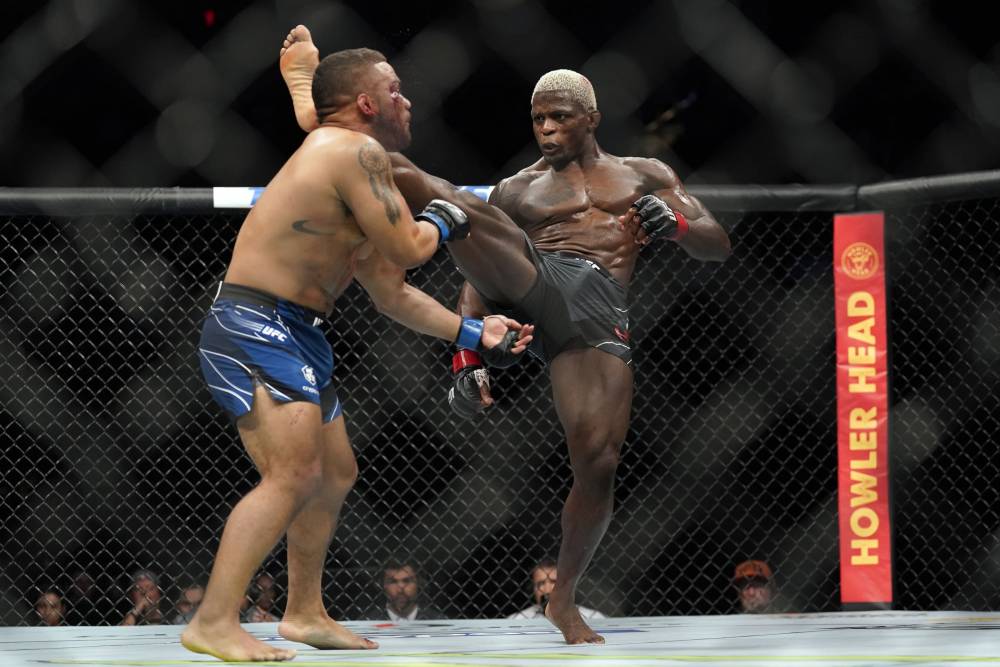 Phil Hawes vs Brunno Ferreira Prediction UFC Picks 1/13