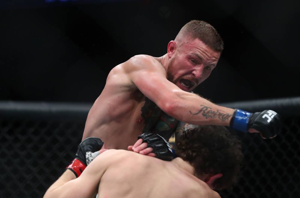 Steven Peterson vs Lucas Alexander Prediction UFC, 03/25