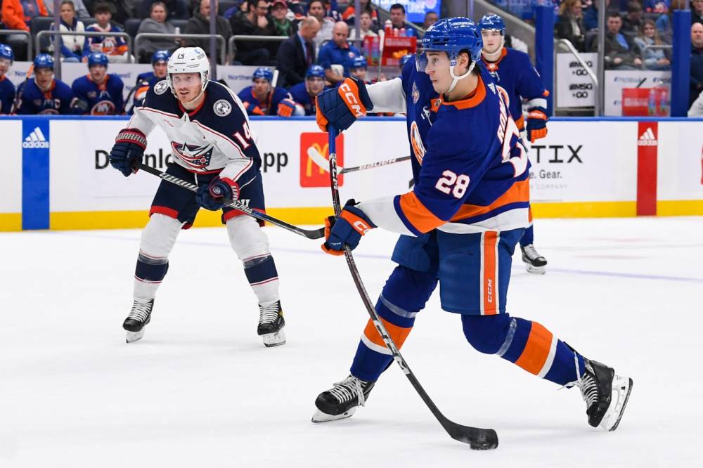 Islanders vs Blue Jackets Prediction NHL Experts 30/24