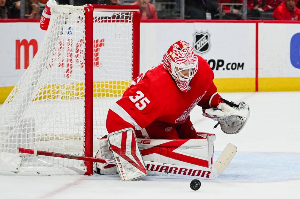 Red Wings vs Blues Prediction NHL Game Preview 3/21
