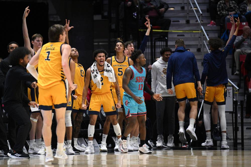 Oregon vs UC Irvine NIT March Madness Prediction & Pick 3/15