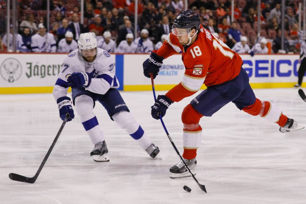 Tampa Bay Lightning vs Florida Panthers Prediction, Pick and Preview, May 17 (5/17): NHL