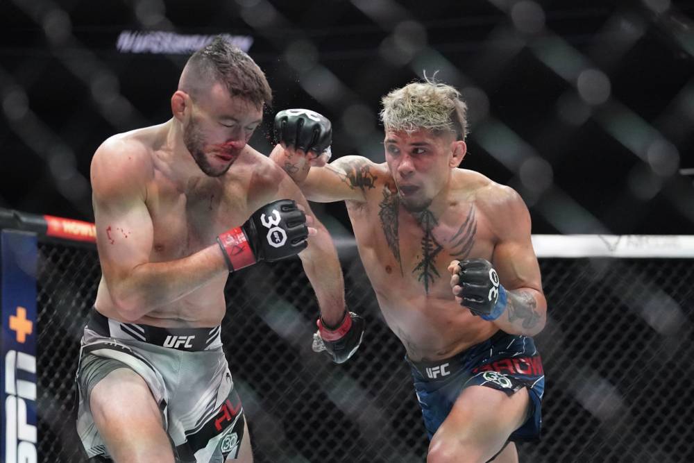 TJ Brown vs Darren Elkins Prediction UFC Picks Free 10/14