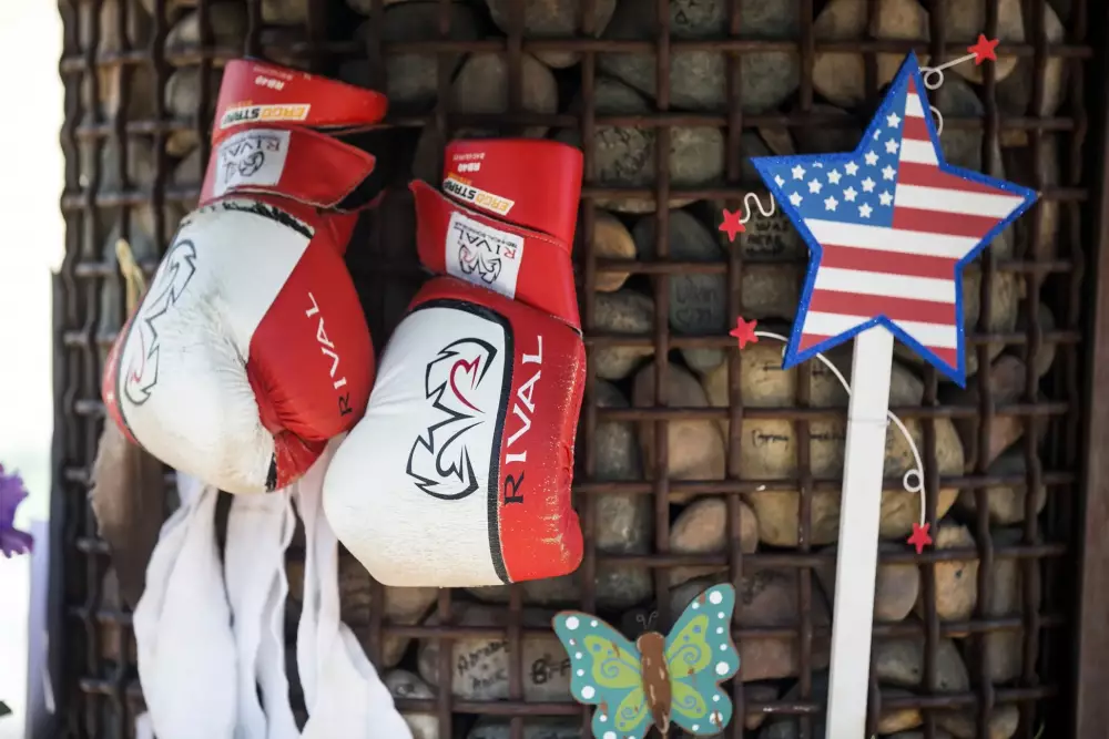 Joshua Buatsi vs Willy Hutchinson Prediction Boxing Picks 9/21