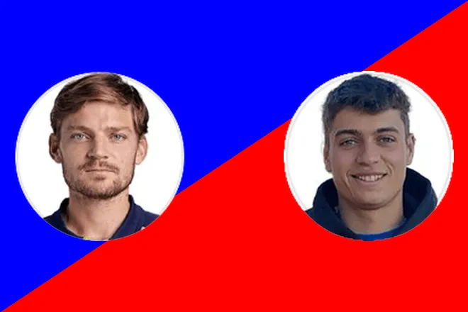 Goffin D. vs Cobolli F.: ATP Washington Picks August 27, 2024