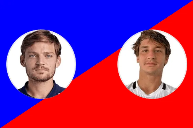 Goffin D. vs Ugo Carabelli C.: Washington Picks August 2024