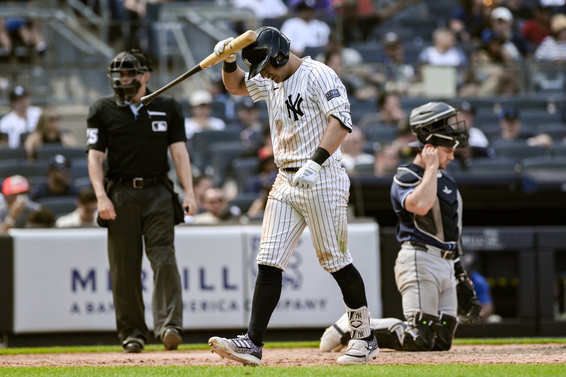 Anthony Volpe's MLB Props - Rays vs Yankees 7/22