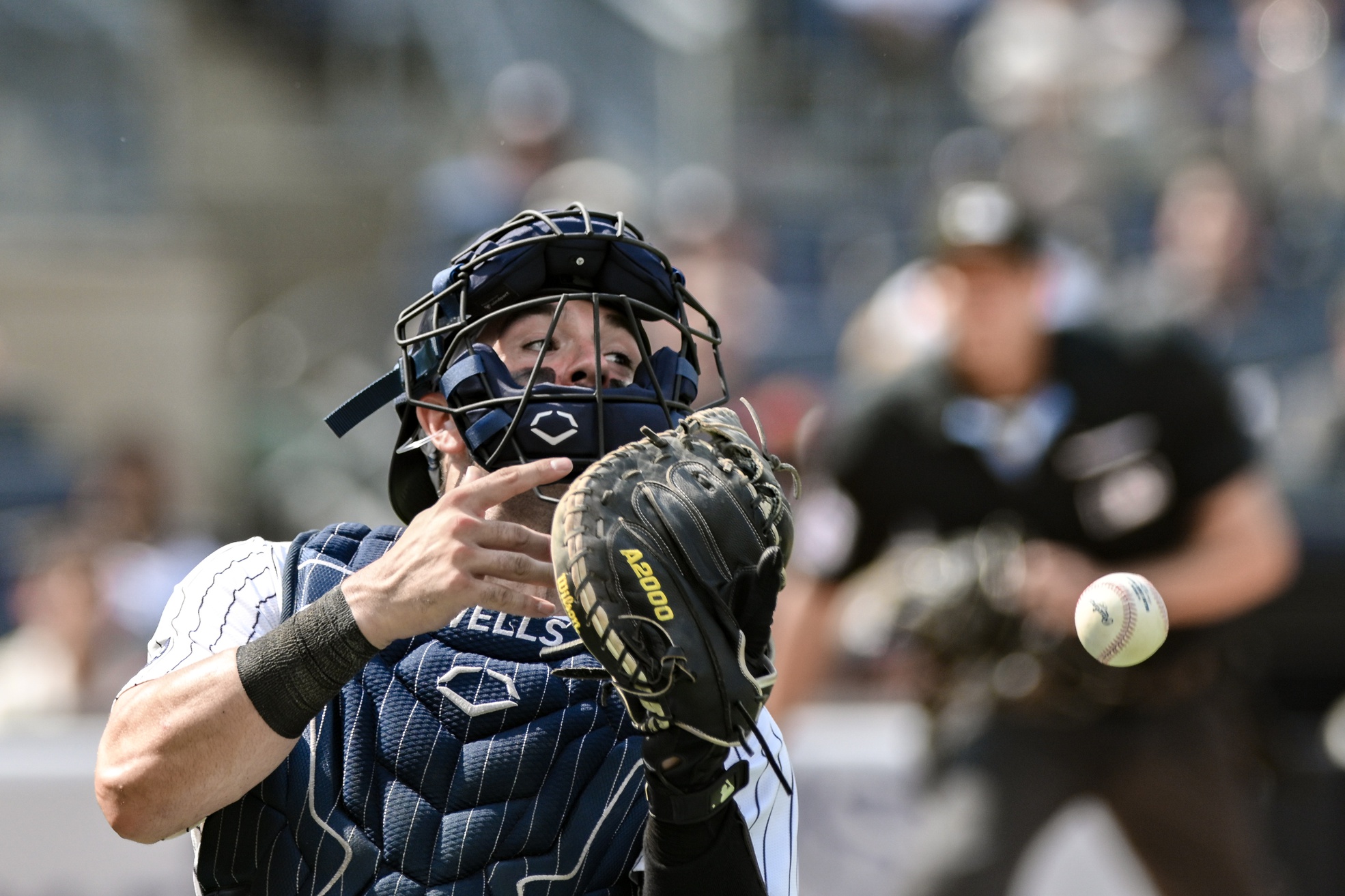 Austin Wells' MLB Props - Yankees vs Rays 7/22