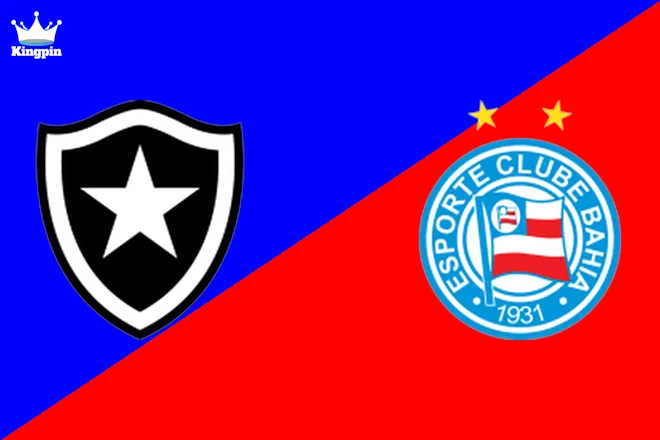 Botafogo vs Bahia: Copa Do Brasil Moneyline Picks July 31, 2024