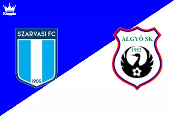 Szarvasi vs Algyő SK: Friendlies Clubs Totals Picks August 9, 2024