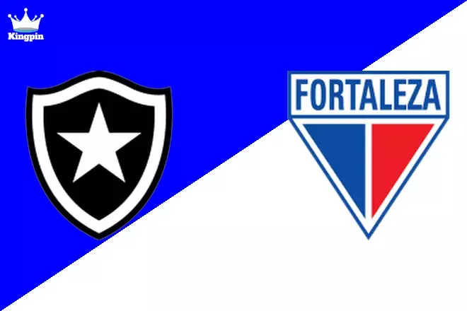 Botafogo vs Fortaleza EC: Serie A Goals Over/Under Prediction 9/1