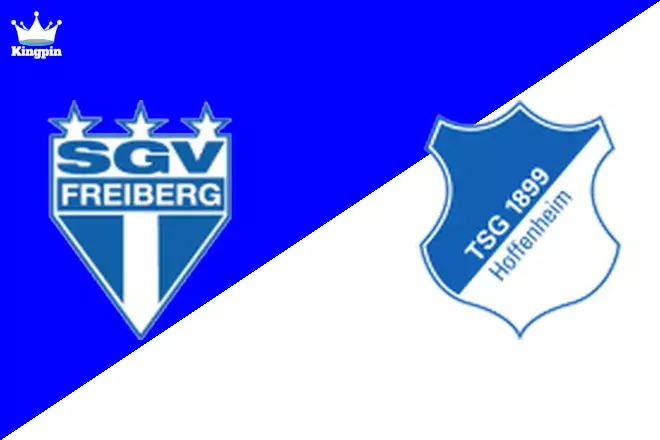 SGV Freiberg vs Hoffenheim II: Regionalliga - SudWest Over/Under Prediction 8/31