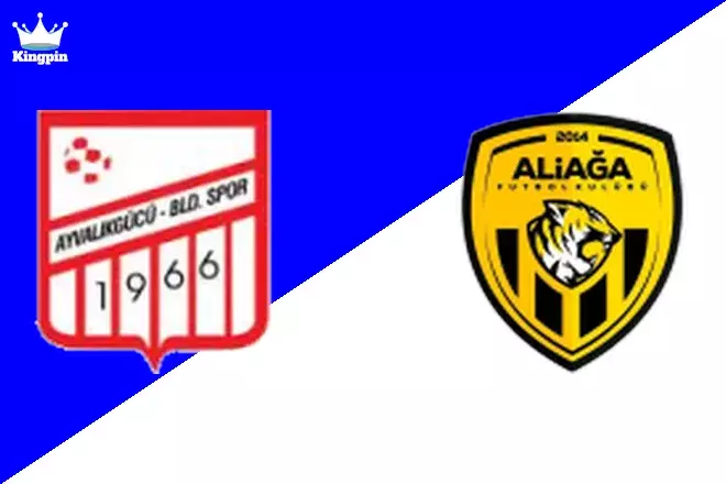 Ayvalıkgücü Belediyespor vs Aliağa FAŞ: 3. Lig - Group 3 Goals Over/Under Prediction 9/7