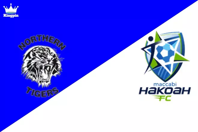 Northern Tigers vs Hakoah Sydney City: NPL 2 Moneyline Prediction 8/17