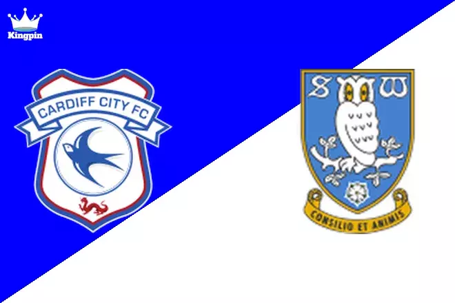 Cardiff City U21 vs Sheffield Wednesday U21: Professional Development League Moneyline Prediction 8/14