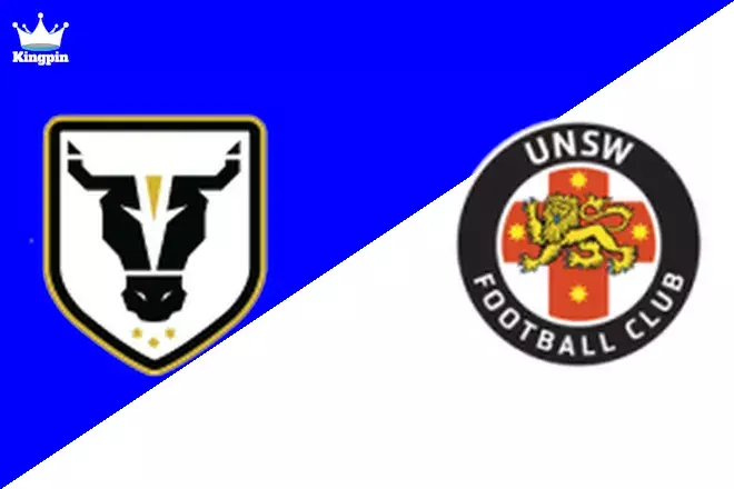 Bulls Academy vs UNSW: New South Wales NPL 2 Moneyline Picks August 10, 2024