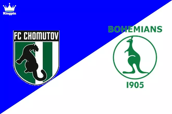 Chomutov vs Bohemians 1905 II: 3. liga - CFL A Totals Picks August 9, 2024
