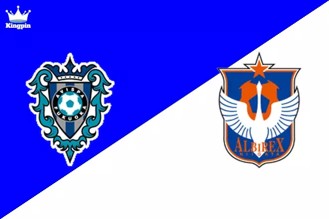 Avispa Fukuoka vs Albirex Niigata: J1 League Goals Over/Under Prediction 8/17