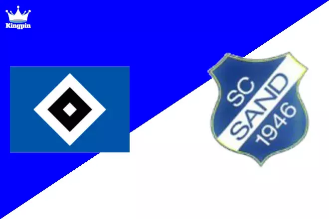 Hamburger SV W vs SC Sand W: 2. Frauen Bundesliga Goals Over/Under Prediction 9/14