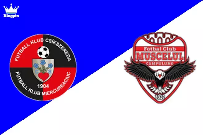 Csikszereda vs Muscelul Câmpulung Elite: Liga II Moneyline Prediction 8/17