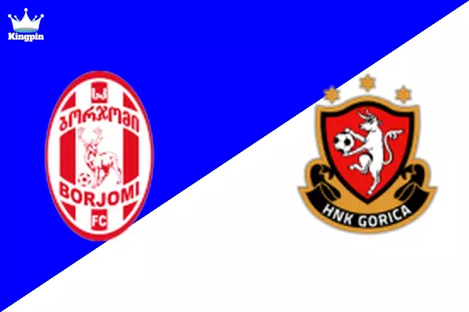 Borjomi vs Gori: Liga 3 Goals Over/Under Prediction 8/29