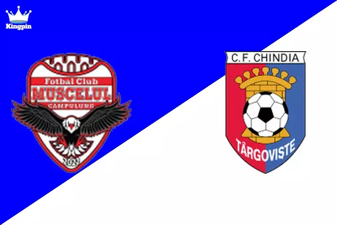 Muscelul Câmpulung Elite vs Chindia Targoviste: Cupa României Spread Prediction 8/14