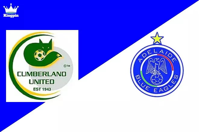 Cumberland United vs Adelaide Blue Eagles: South Australia State League 1 Spread Picks August 10, 2024