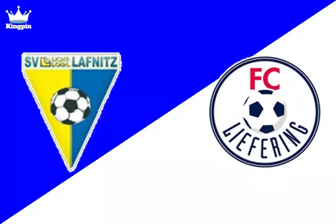 SV Lafnitz vs FC Liefering: 2. Liga Totals Picks August 9, 2024