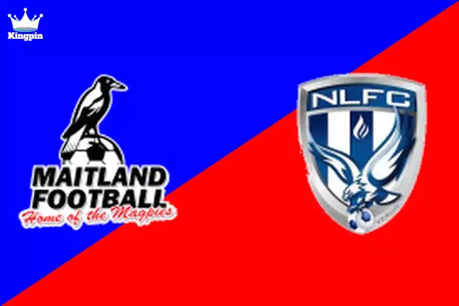 Maitland vs New Lambton: Northern NSW NPL Totals Picks August 3, 2024