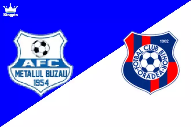 Metalul Buzău vs Bihor Oradea: Liga II Total Goals Prediction 8/24