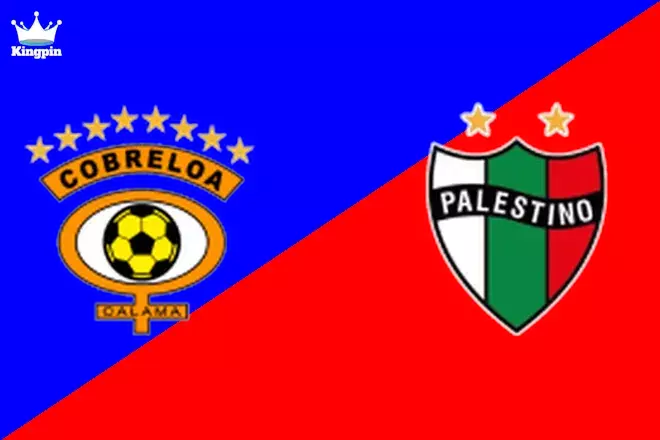 Cobreloa vs Palestino: Primera División Totals Picks July 30, 2024