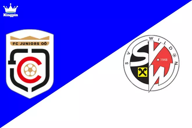 LASK Juniors vs Wildon: Regionalliga - Mitte Totals Picks August 9, 2024