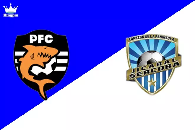 Puntarenas FC vs ADR Jicaral: Copa Costa Rica Totals Picks August 7, 2024