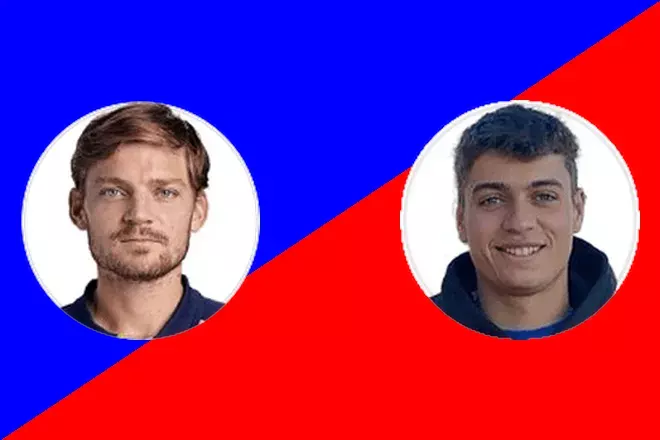 Goffin D. vs Cobolli F.: Washington ATP Picks August 2024