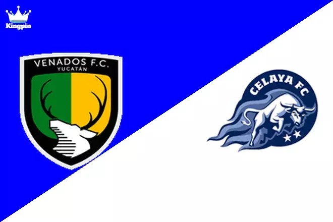 Venados FC vs Celaya: Liga de Expansión MX Moneyline Picks August 10, 2024