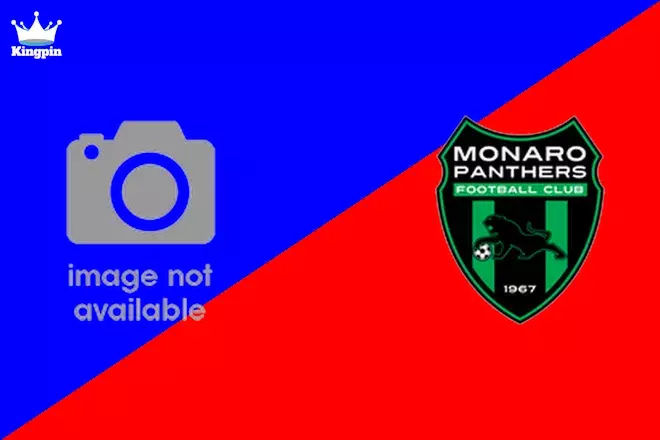 Yoogali CT vs Monaro Panthers: Capital Territory NPL Totals Picks August 3, 2024