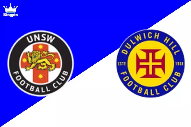 UNSW vs Dulwich Hill: NPL 2 Goals Over/Under Prediction 8/24