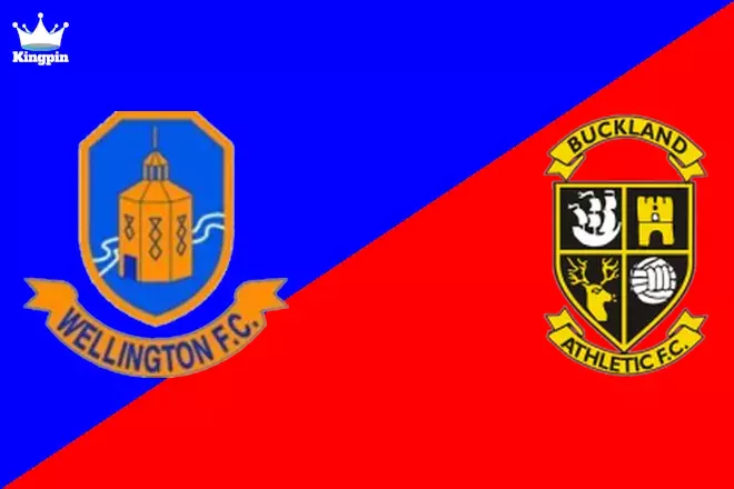 Wellington vs Buckland Athletic: FA Cup Spread Picks August 3, 2024