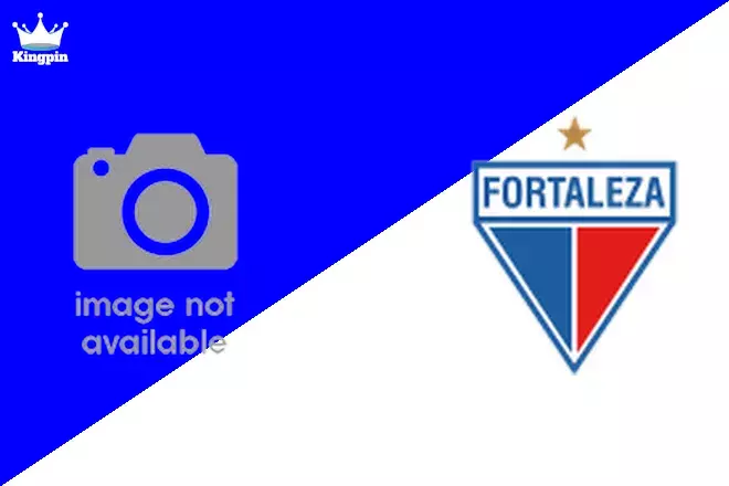 Flamengo U20 vs Fortaleza U20: CBF Brasileiro U20 Totals Prediction 8/29