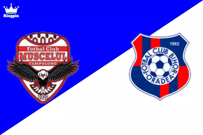 Muscelul Câmpulung Elite vs Bihor Oradea: Liga II Moneyline Picks August 10, 2024