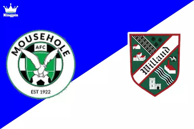 Mousehole vs Willand Rovers: FA Cup Goals Over/Under Prediction 8/17