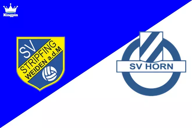 Stripfing vs SV Horn: 2. Liga Totals Prediction 8/31