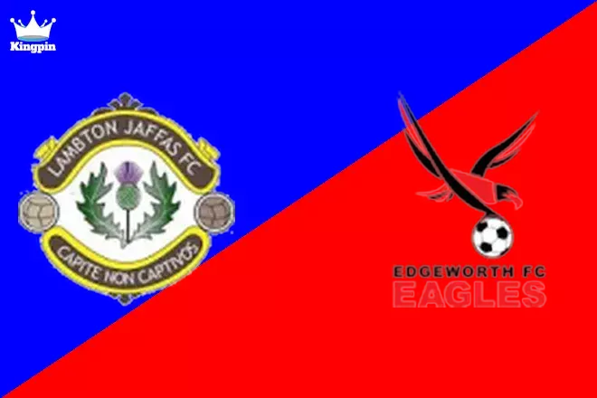 Lambton Jaffas vs Edgeworth Eagles: Northern NSW NPL Totals Picks August 3, 2024