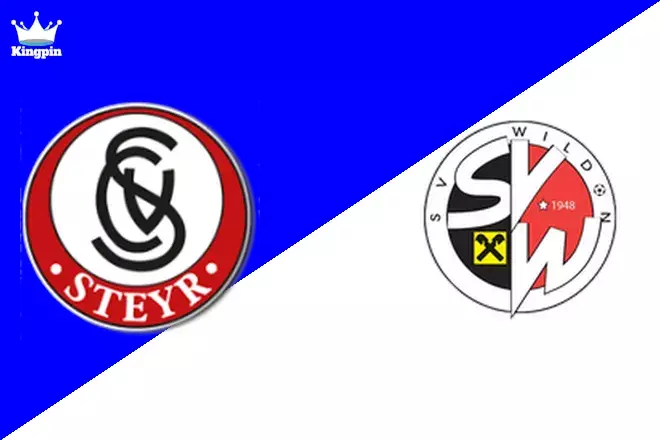 SK Vorwarts Steyr vs Wildon: Regionalliga - Mitte Totals Prediction 8/24